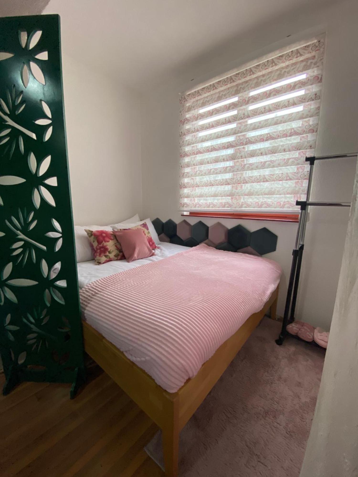 Alpin Apartments Vlašić Extérieur photo